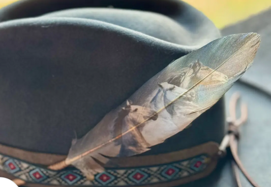 Dark Wild Horses Hat Feather